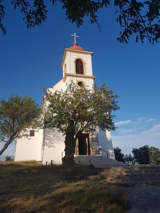Koezponthoz Koezeli - Cool Tettye Apartman Pécs Esterno foto
